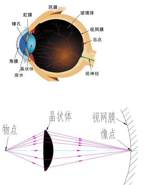 机器视觉与人类视觉的差别，二者之间有什么优劣？