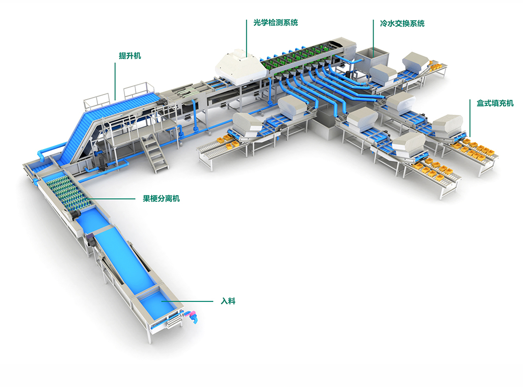 果蔬筛选机